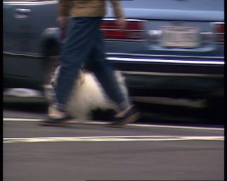 Link to Video | Manhattan, Third Avenue, Big Apple, color, 1989, United States of America, passenger, yellow cab, New York City, Little Germany, male human, man
