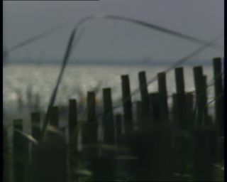 Link to Video | Big Apple, 1989, United States of America, New York City