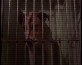 Link to Video | Big Apple, 1989, United States of America, New York City