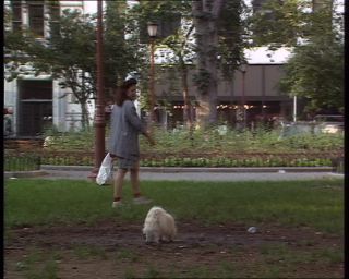 Link to Video | Big Apple, 1989, United States of America, New York City