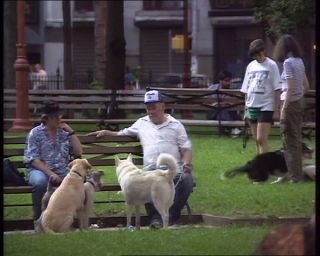 Link to Video | Big Apple, 1989, United States of America, New York City