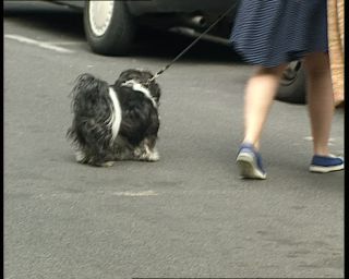 Link to Video | tourist destination, leg, France, megacity, metropolis, 1991, color, shoe, standard-definition television, 1990s, Europe, megalopolis, human leg, Betacam SP, Paris