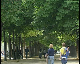 Link to Video | tourist destination, France, megacity, metropolis, 1991, color, standard-definition television, 90s, 1990s, Europe, megalopolis, avenue des Champs-Élysées, Betacam SP, Paris