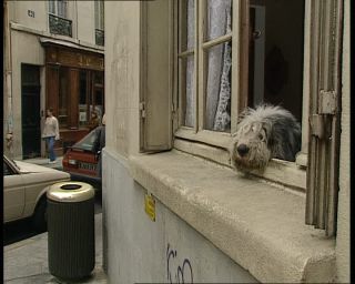 Link to Video | tourist destination, France, dog, megacity, metropolis, 1991, color, standard-definition television, 90s, 1990s, Europe, megalopolis, Betacam SP, Paris