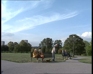 Link to Video | United Kingdom, England, Europe, London