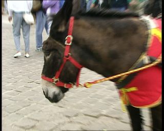 Link to Video | tourist destination, France, megacity, metropolis, 1991, color, standard-definition television, Notre-Dame de Paris, 1990s, Europe, megalopolis, tourist attraction, Betacam SP, Paris