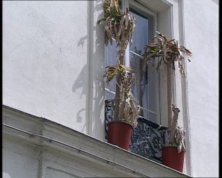 Link to Video | tourist destination, France, megacity, metropolis, 1991, color, standard-definition television, 1990s, Europe, megalopolis, Betacam SP, Paris