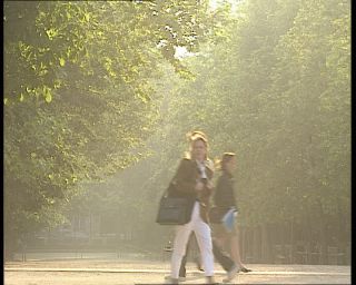 Link to Video | tourist destination, France, megacity, metropolis, 1991, color, park, standard-definition television, Jardin du Luxembourg, 1990s, Europe, megalopolis, Betacam SP, Paris