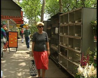 Link to Video | tourist destination, France, megacity, metropolis, 1991, color, standard-definition television, 1990s, Europe, megalopolis, Betacam SP, Paris