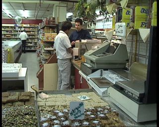 Link to Video | United Kingdom, England, Europe, London