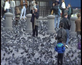 Link to Video | United Kingdom, England, Europe, London