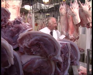 Link to Video | United Kingdom, England, Europe, London