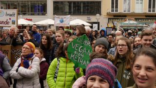 Link to Video | fear of the future, climate change, Next Generation, Munich, demonstration, climate movement, youth, 2019, protest, youth movement, future, schoolchild, social movement, Fridays for Future, climate activist, school strike