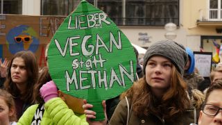 Link to Video | fear of the future, climate change, Next Generation, Munich, demonstration, climate movement, youth, 2019, protest, youth movement, future, schoolchild, social movement, Fridays for Future, climate activist, school strike