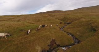 Link zum Video | Landschaft, Island, Skandinavien, Farbe, Europa, Luftaufnahme, Natur