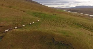 Link zum Video | Landschaft, Island, Skandinavien, Farbe, Europa, Luftaufnahme, Natur