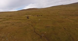 Link to Video | landscape, Iceland, Scandinavia, color, Europe, aerial shot, nature
