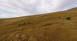 Link to Video | landscape, Iceland, Scandinavia, color, Europe, aerial shot, nature