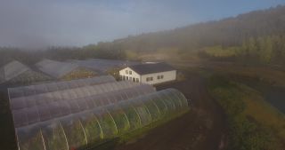 Link to Video | landscape, Iceland, Scandinavia, color, Europe, aerial shot, nature