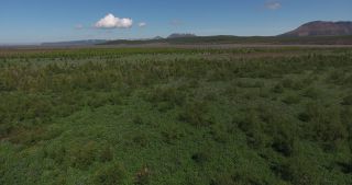 Link to Video | Iceland, Scandinavia, color, 2016, Iceland, Europe