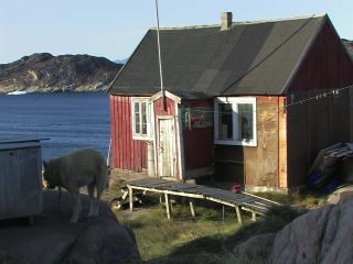 Link to Video | Greenland, Greenland
