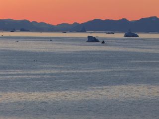 Link to Video | Greenland, Greenland