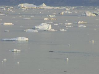 Link to Video | Greenland, Greenland