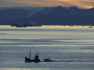 Link to Video | Greenland, Greenland