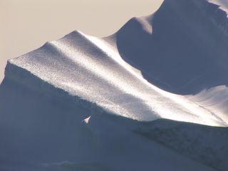 Link zum Video | Landschaft, Grönland, Grönland, Natur