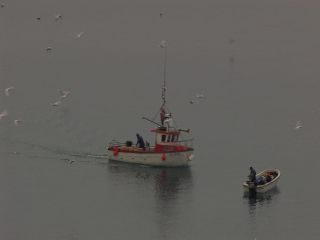 Link to Video | Greenland, Greenland