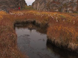 Link to Video | landscape, Greenland, Greenland, nature