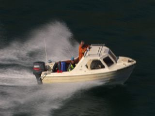 Link to Video | Greenland, Greenland