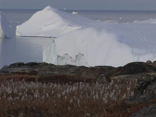 Link to Video | Greenland, Greenland