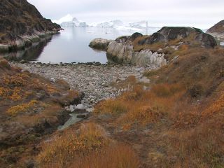 Link to Video | Greenland, Greenland
