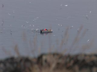 Link to Video | Greenland, Greenland