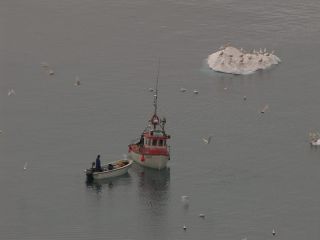 Link to Video | Greenland, Greenland