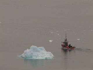 Link to Video | Greenland, Greenland
