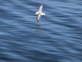 Link zum Video | Grönland, Grönland