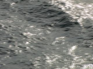 Link to Video | Greenland, Greenland