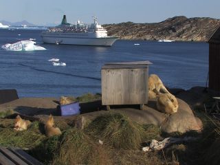 Link to Video | Greenland, Greenland