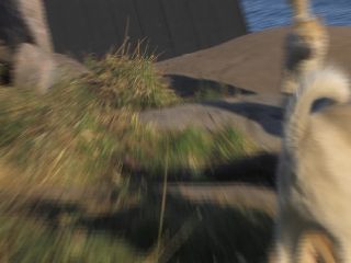 Link zum Video | Grönland, Grönland