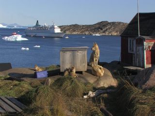 Link to Video | Greenland, Greenland