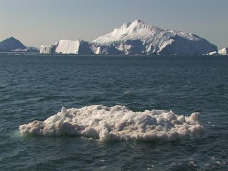 Link to Video | Greenland, Greenland