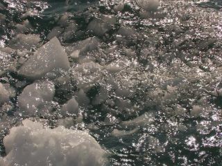 Link to Video | Greenland, Greenland