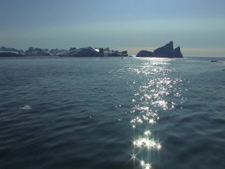 Link to Video | Greenland, Greenland