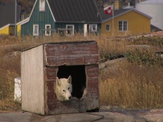 Link to Video | Greenland, Greenland, Kingdom of Denmark