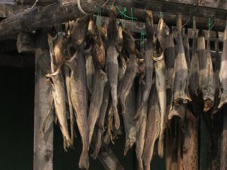 Link to Video | Greenland, Greenland, Kingdom of Denmark