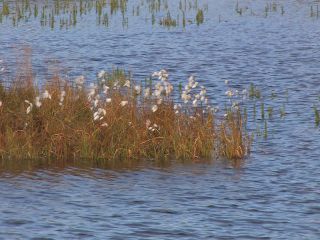 Link to Video | landscape, Greenland, Greenland, Kingdom of Denmark, nature