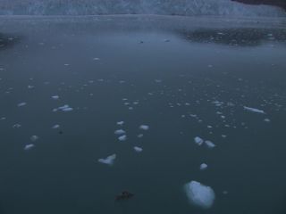 Link to Video | Greenland, Greenland