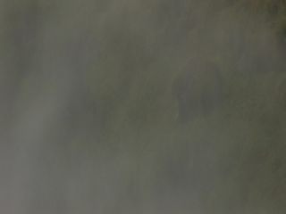Link to Video | Greenland, Greenland